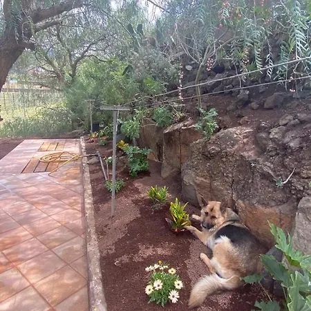 Casita Entre Vinedos, Experiencia Rural, Ideal Ninos. Vakantiehuis Tegueste